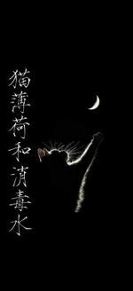 猫薄荷和消毒水