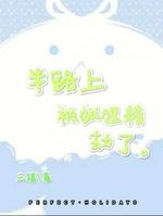 半路上被狐狸精劫了