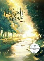 桂花树下的年华