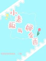 小老板与郁金香