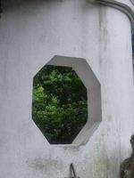 你是我青春的唯一