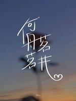 何舟茗茗井