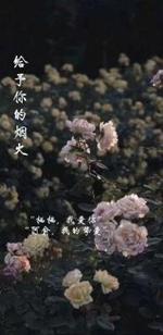 给予你的烟火