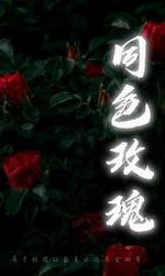 同色玫瑰