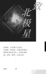 致北极星