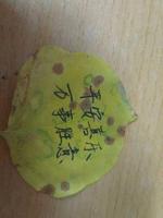 姜姜