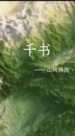 千书