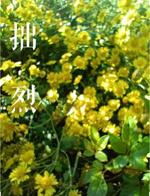 拙烈