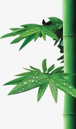 那些年，我们一起争夺的狱花