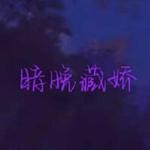 暗晚藏娇