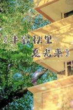半寂秋里夏光来