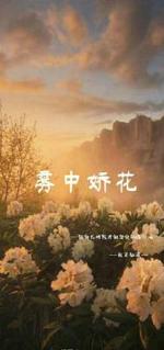 雾中娇花