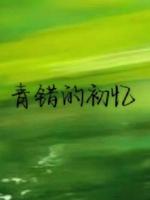 青错的初忆