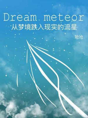 从梦境跌入现实的流星